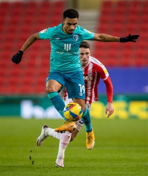 What's a Bingo Game?